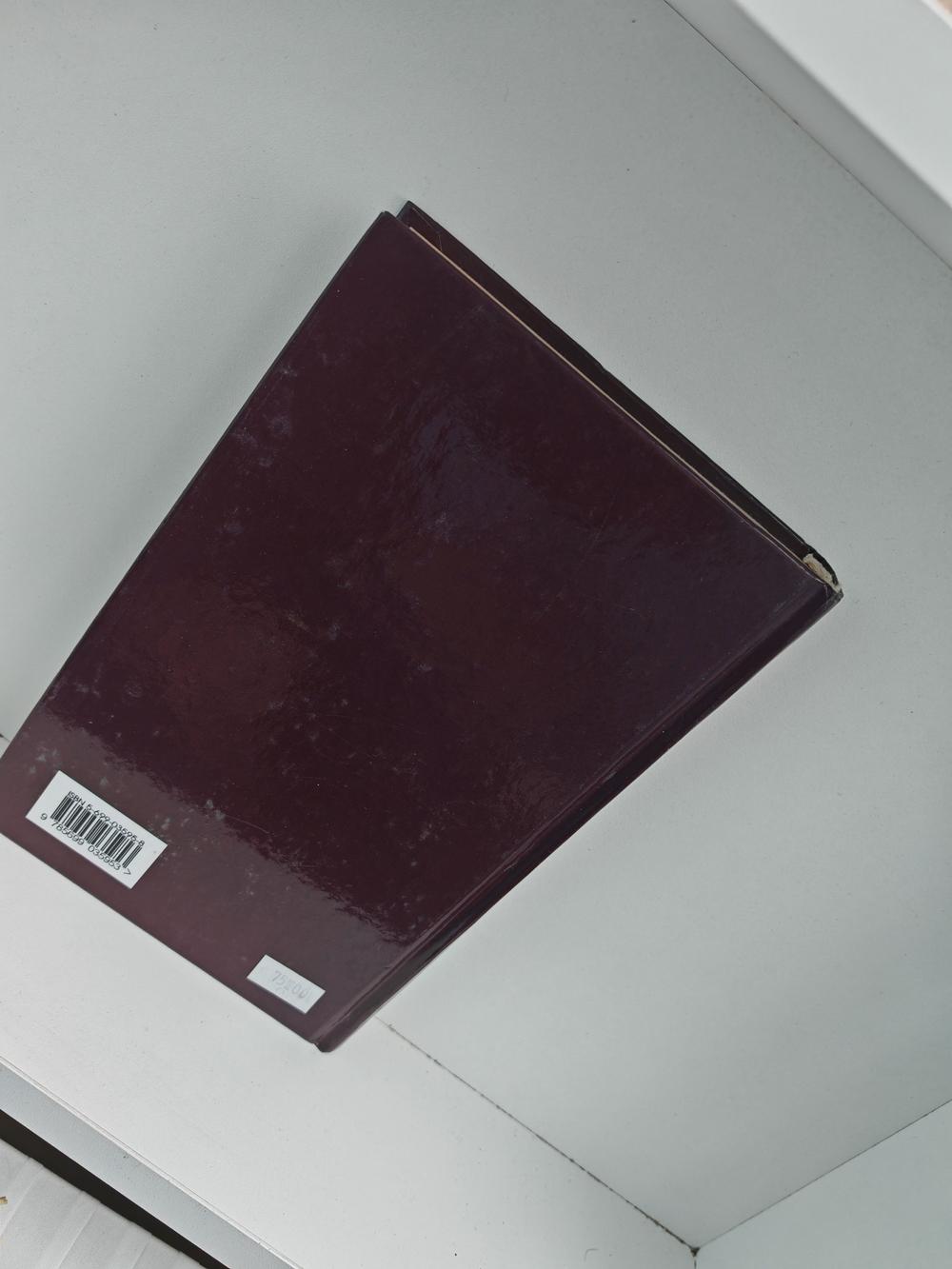 Наследие завоевателя