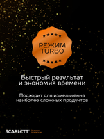 Кухонный процессор-блендер SCARLETT SC-HB 42 M45 Gold Stars