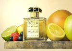 Roja Oligarch