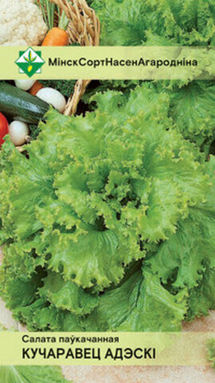 Салат полукочанный "Кучерявец Одесский" 0.5г, Россия.