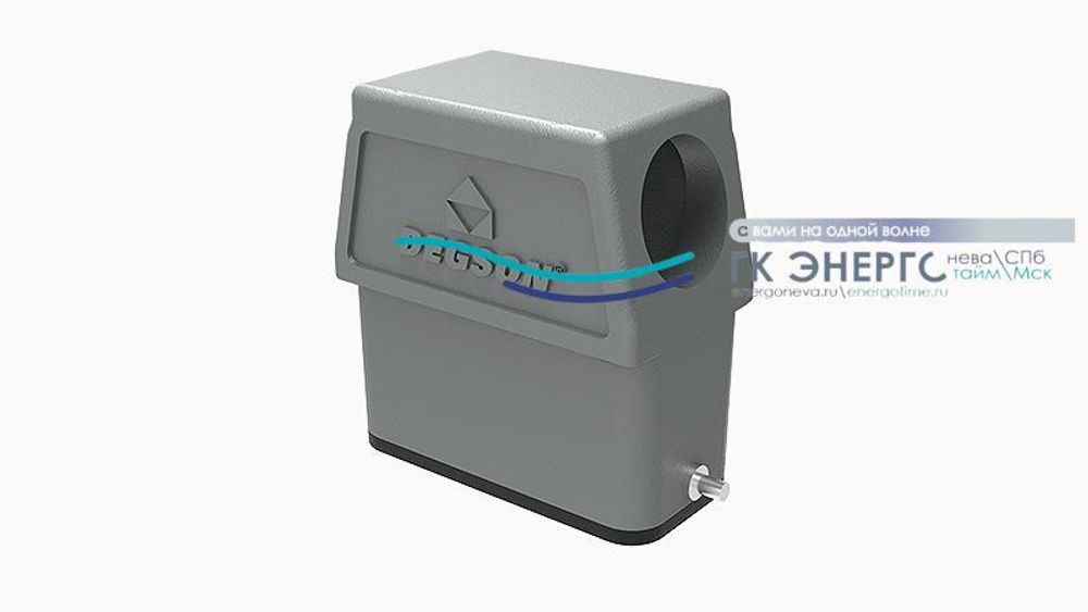 D10A-SEH-2g-PG21