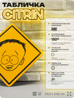 Табличка декоративная "Тимми Бёрч" из сериала Южный парк, South Park на дверь и стену, прикольная штука в подарок фанату, декоративный знак, 24,5х24,5 см, серия CITRIN / ЦИТРИН, Айдентика Технолоджи