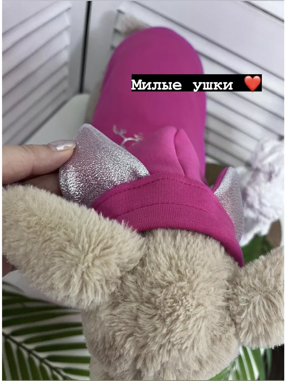 Толстовка с капюшоном для собак и кошек