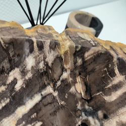 Раковина из окаменелого дерева Fossil Basin OD-02137 52*42*16 см