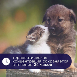 Антибактериальный препарат АВЗ Ципровет для кошек, щенков и мелких собак, 10 таблеток