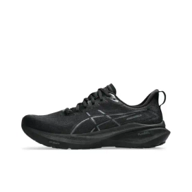 Мужские кроссовки ASICS GT-2000 13 'Black' 1011B861-002