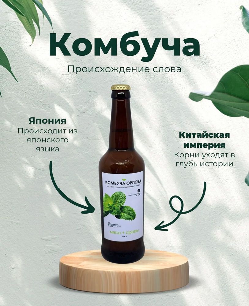 Комбуча Орлова 500мл.