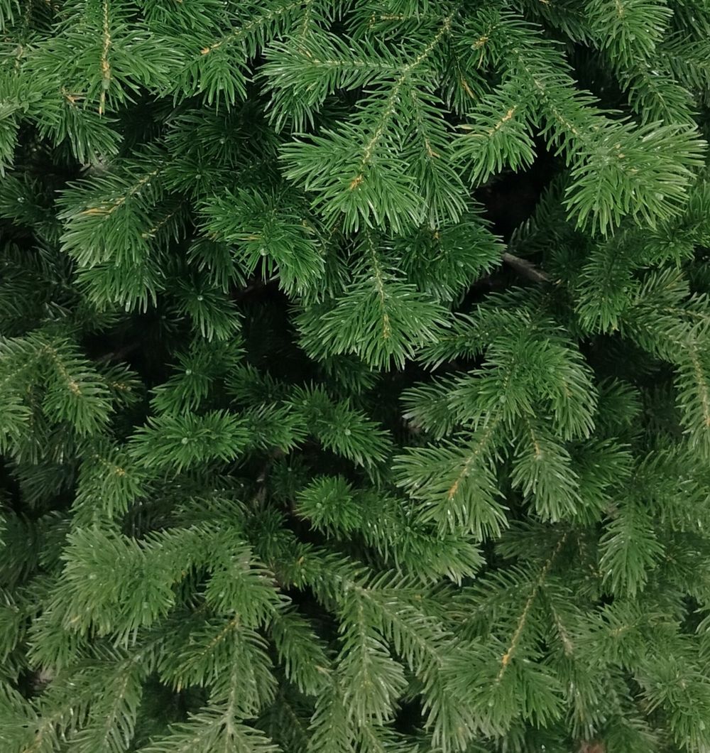 Ель искусственная «Делия» (Литая хвоя) 230 см / 2,3 м