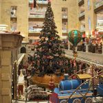 Светодинамическая елка ствольная - встроенная гирлянда: Холодный свет - "Таежная" от 11 до 21 м