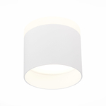 ST102.542.12 Светильник потолочный Белый LED 1*12W 4000K 936Lm Ra&gt;80 120° IP20 D100xH90 170-240V