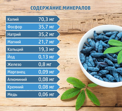 Варенье из жимолости без сахара с сиропом топинамбура, набор - 2 шт.