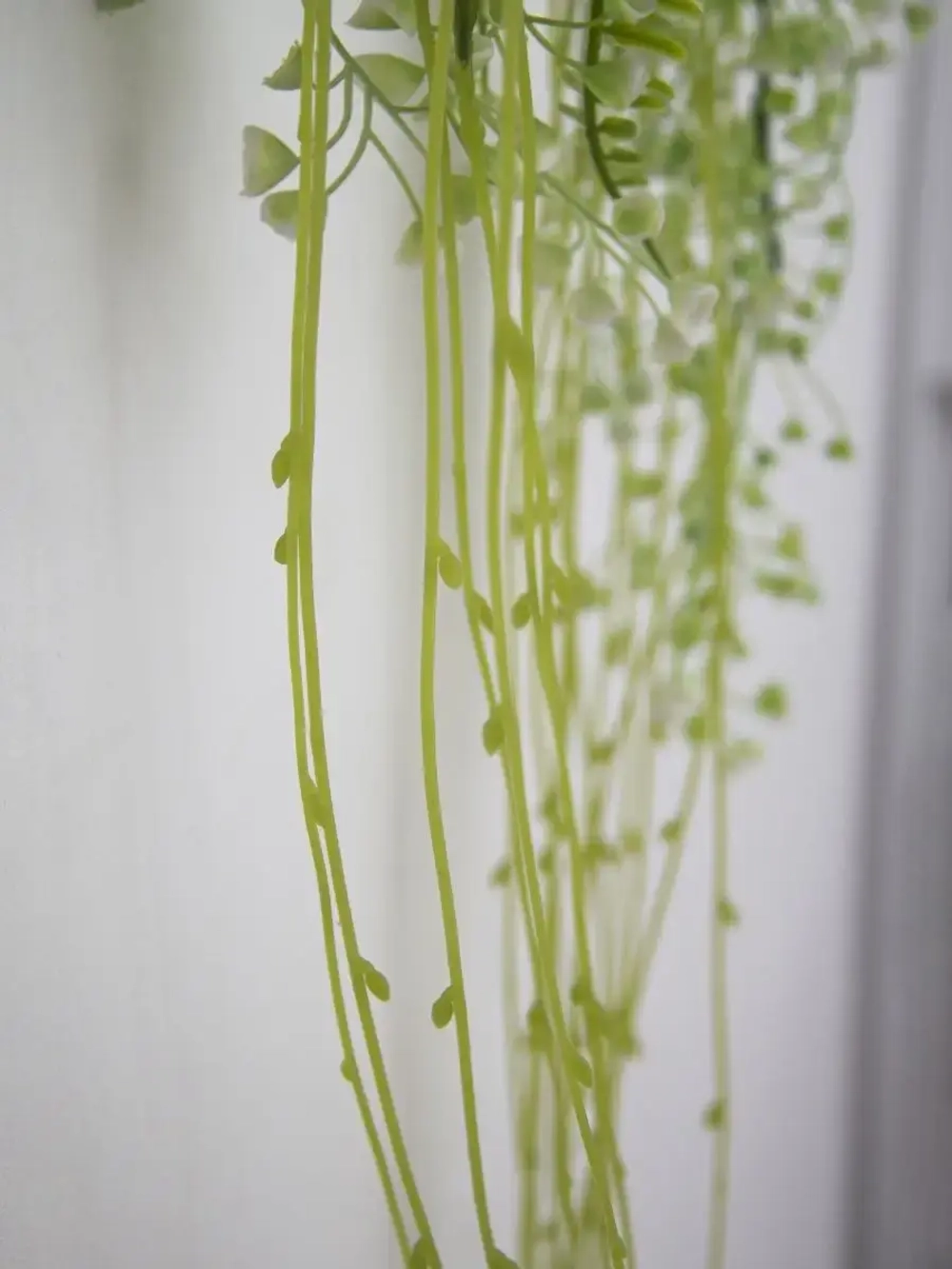 Искусственное растение в кашпо "Папоротники"