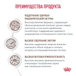 Корм сухой для собак Royal Canin Gastro Intestinal GI25 Диета, 2кг