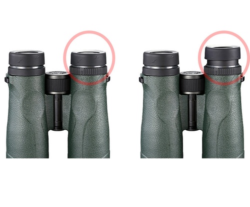 Бинокль Vanguard VEO ED 10x42