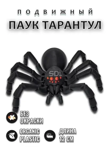Паук тарантул