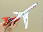 Модель самолета Ту-134 (М1:100, Самара)