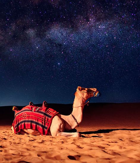 Nomade purple, спрей для дома Vents d’Arabie collection, Ladenac Milano