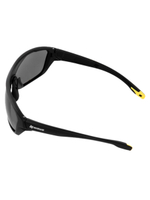 Очки поляризационные Nisus в жест.чехле (коричневый) (N-OP-LZ0007-C)