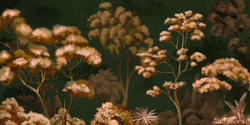 ARBRE22 20