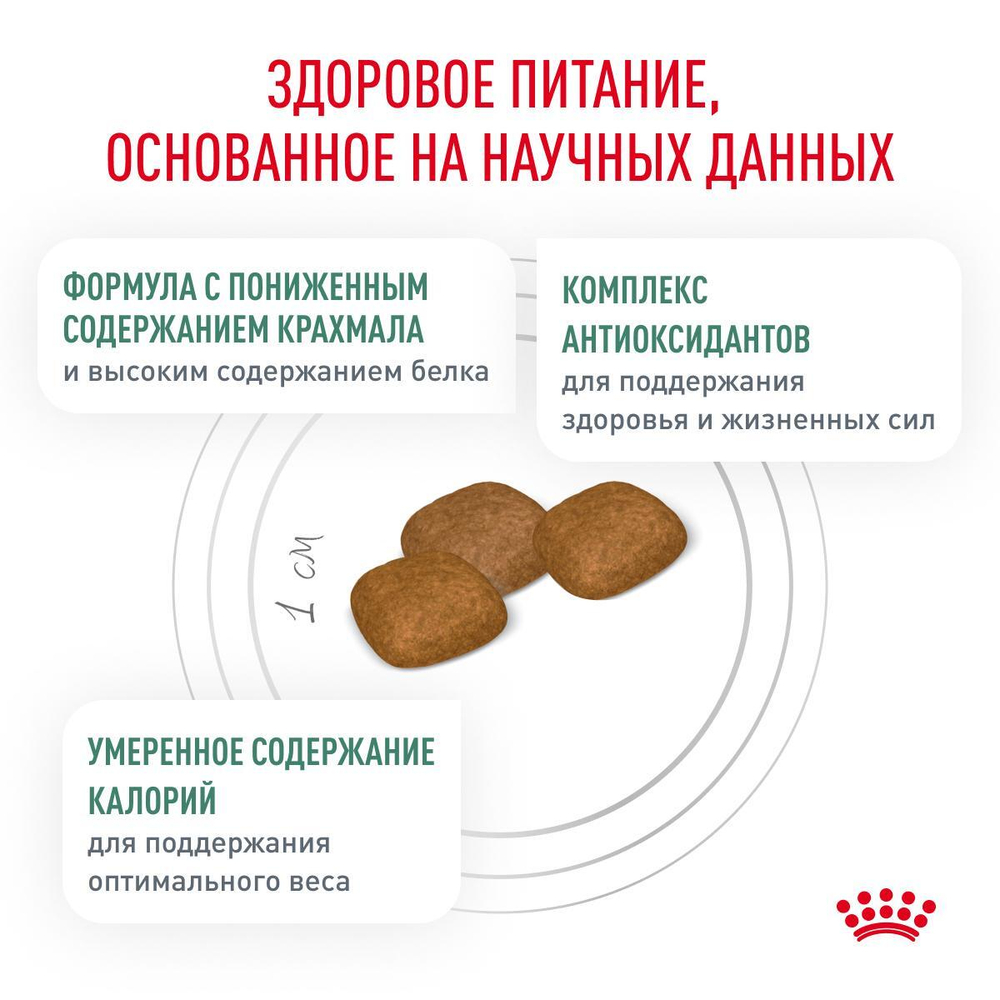 Royal Canin Diabetic DS 37 Canine Корм сухой диетический для взрослых собак при сахарном диабете 1,5 кг