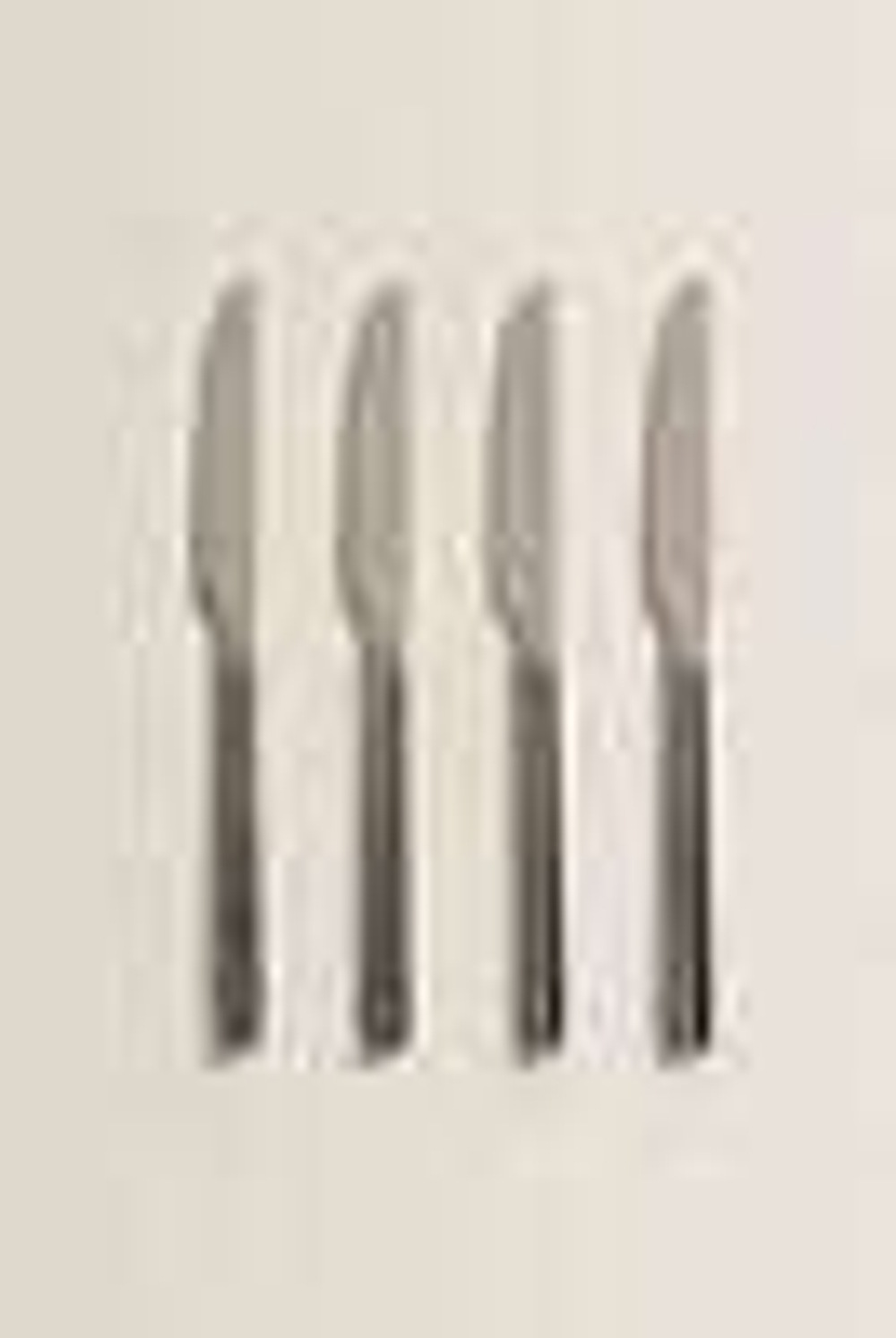 ZARA HOME БЛЕСТЯЩИЙ МЕТАЛЛИЧЕСКИЙ НОЖ (НАБОР ИЗ 4 ПРЕДМЕТОВ), СЕРЕБРЯНЫЙ