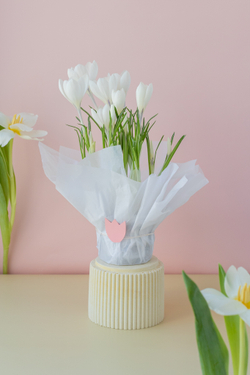 Нежные весенние первоцветы для подарка