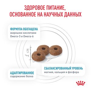 Корм для кастрированных/стерилизованных котов и кошек, Royal Canin Skin & Coat, повышенной чувствительностью кожи и шерсти