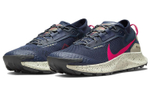Кроссовки Nike Pegasus Trail 3 Gtx