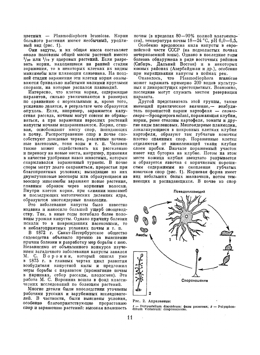 Жизнь растений. Том 2. Грибы | А.А. Федоров