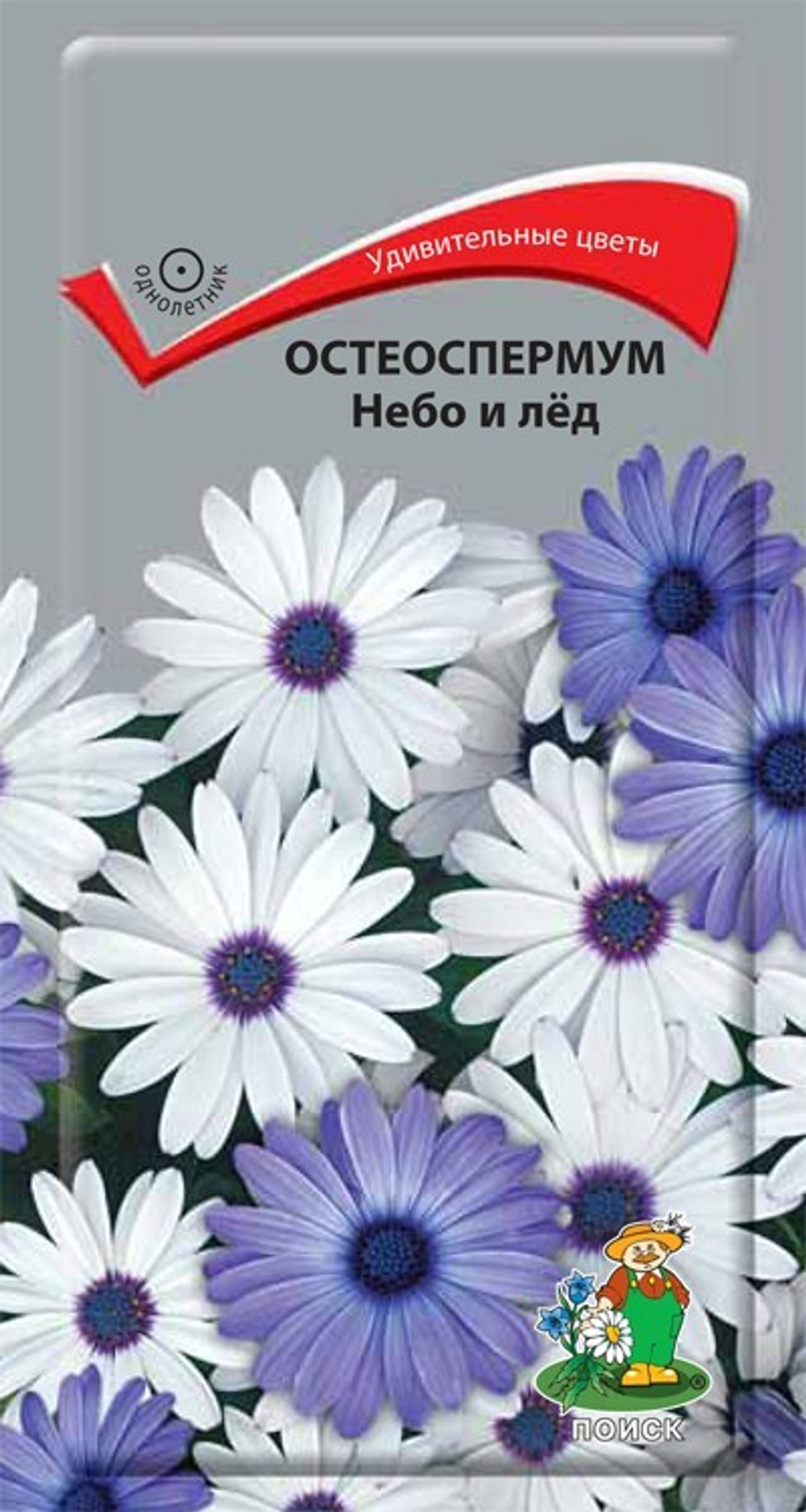 Семена Остеоспермум Небо и лед 0,1г