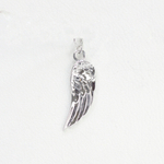 Wings charm