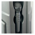 Напольная колонка Sing-e ZQS-8237 (8"60W/6A/микрофон)