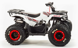 Квадроцикл MOTOLAND (МОТОЛЕНД) 125 WILD