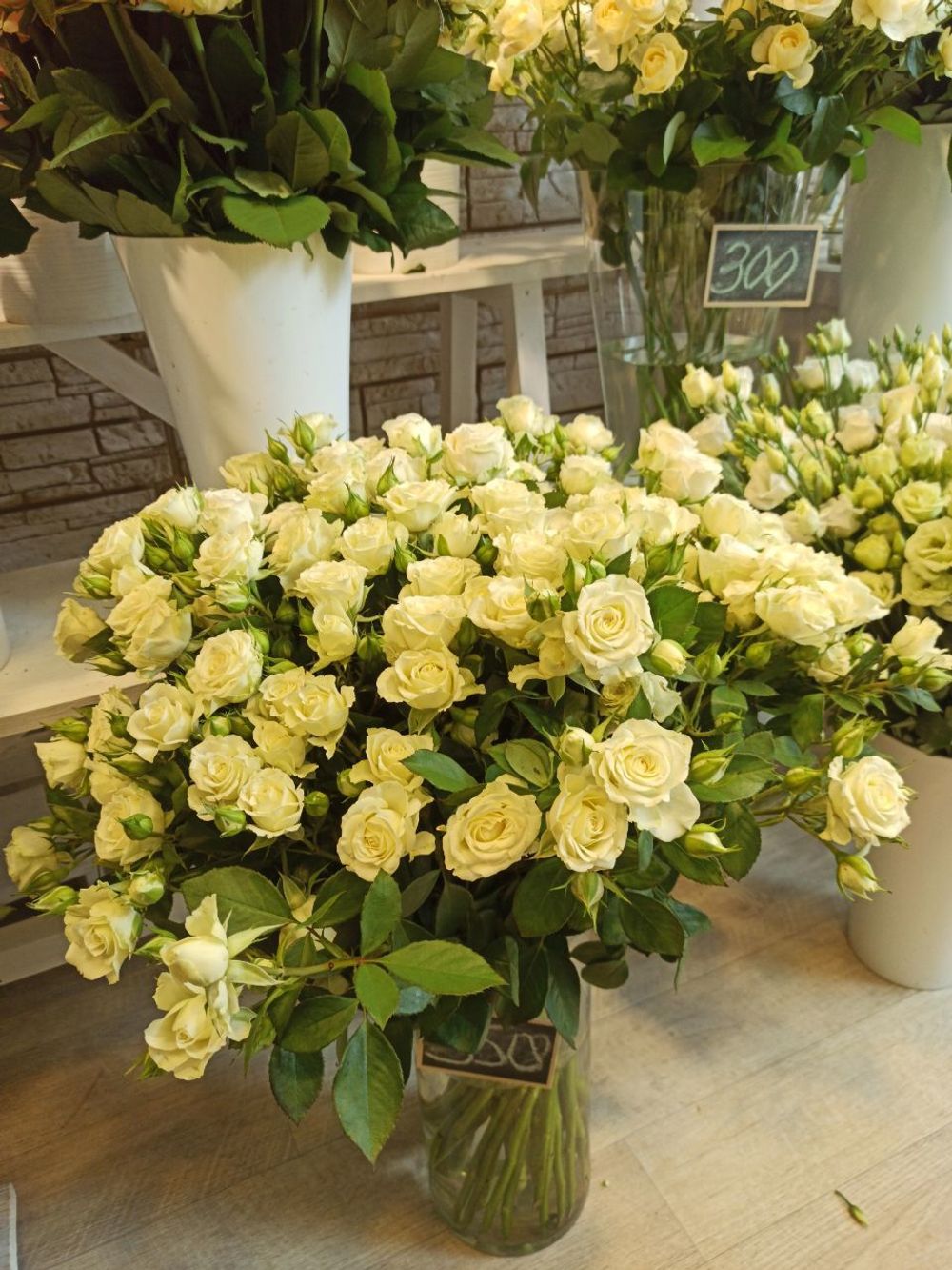 Розы кустовые