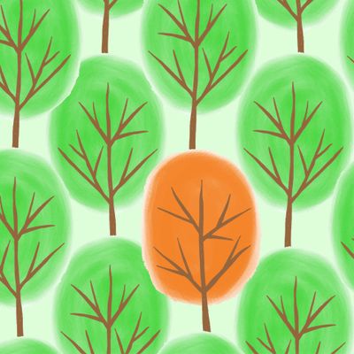 autumn