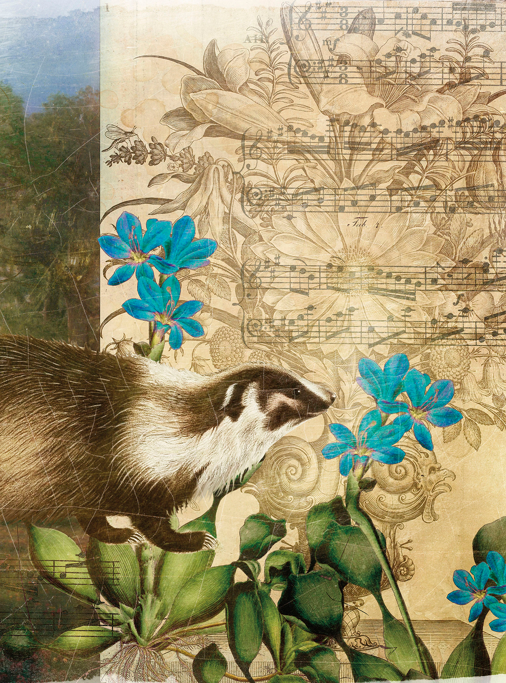 Коллекция Животные