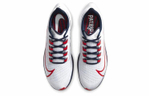 Кроссовки Nike Pegasus 37 "New England Patriots"