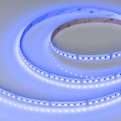 Светодиодная лента RT-H120-10mm 24V RGBW-Day-4-in-1 (25 W/m, IP20, 4040, 5m) (Arlight, Открытый) 048747