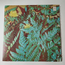 Винтажная виниловая пластинка LP Иверия Песня О Грузии (СССР 1976)