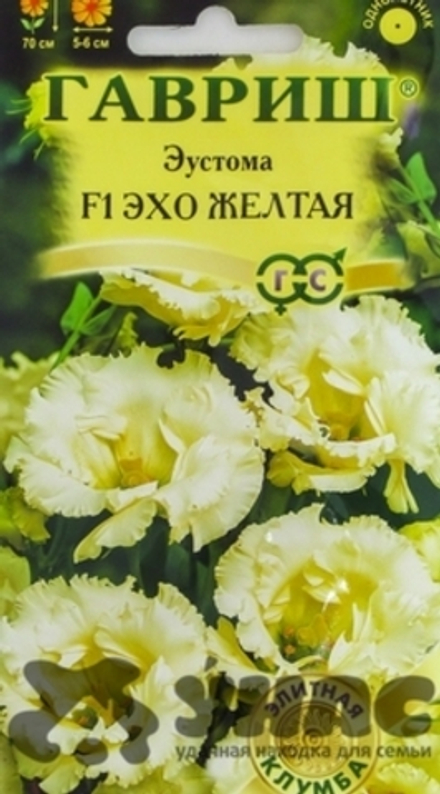 Эустома Эхо желтая 5шт Саката Гавриш