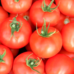 Мамстон F1 семена томата индетерминантного (Syngenta / Сингента)