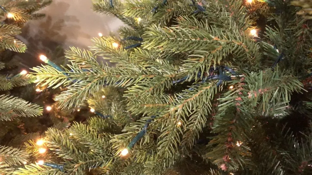 Ель Ирландская с лампочками 365 см., 1104 LED лампы, литая хвоя+пвх, Black Box (74395)