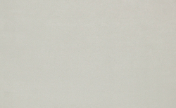 Велюр Гран При 29