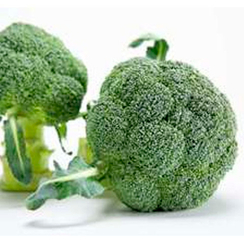 УЛИСС F1 семена капусты брокколи (Sakata | Саката)