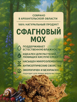 Мох Сфагнум