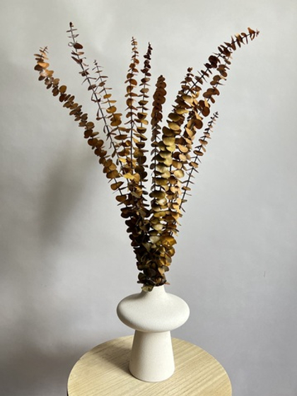 Эвкалипт Бейби Блю стабилизированный хаки