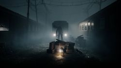 REANIMAL PS5