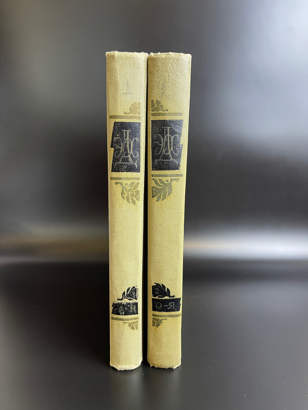 2 тома книги "Краткая энциклопедия домашнего хозяйства" 1960 год СССР . Бондаренко Власов Лифшиц