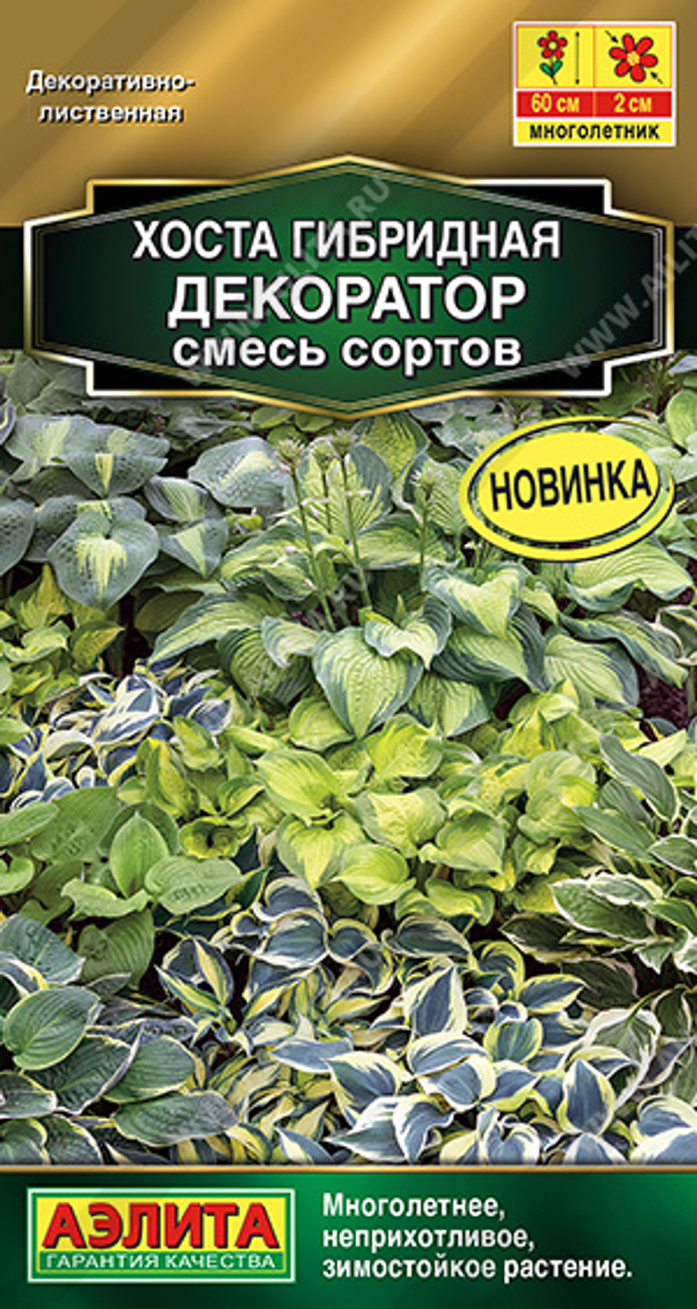 Хоста Декоратор смесь 5шт Ц Аэлита