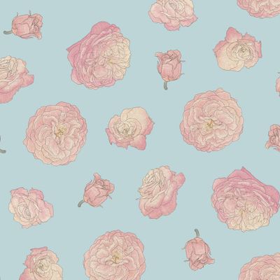 Розовые цветы на голубом фоне